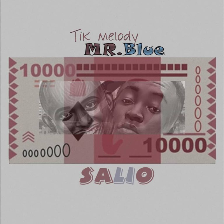 Download Audio | Tik Melody Ft. Mr Blue – Salio