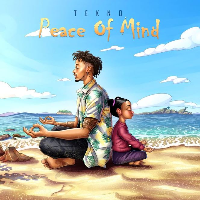Download Audio | Tekno – Peace of Mind