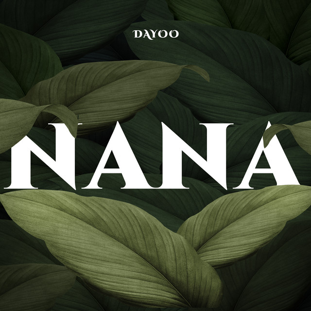 Download Audio | Dayoo – Nana