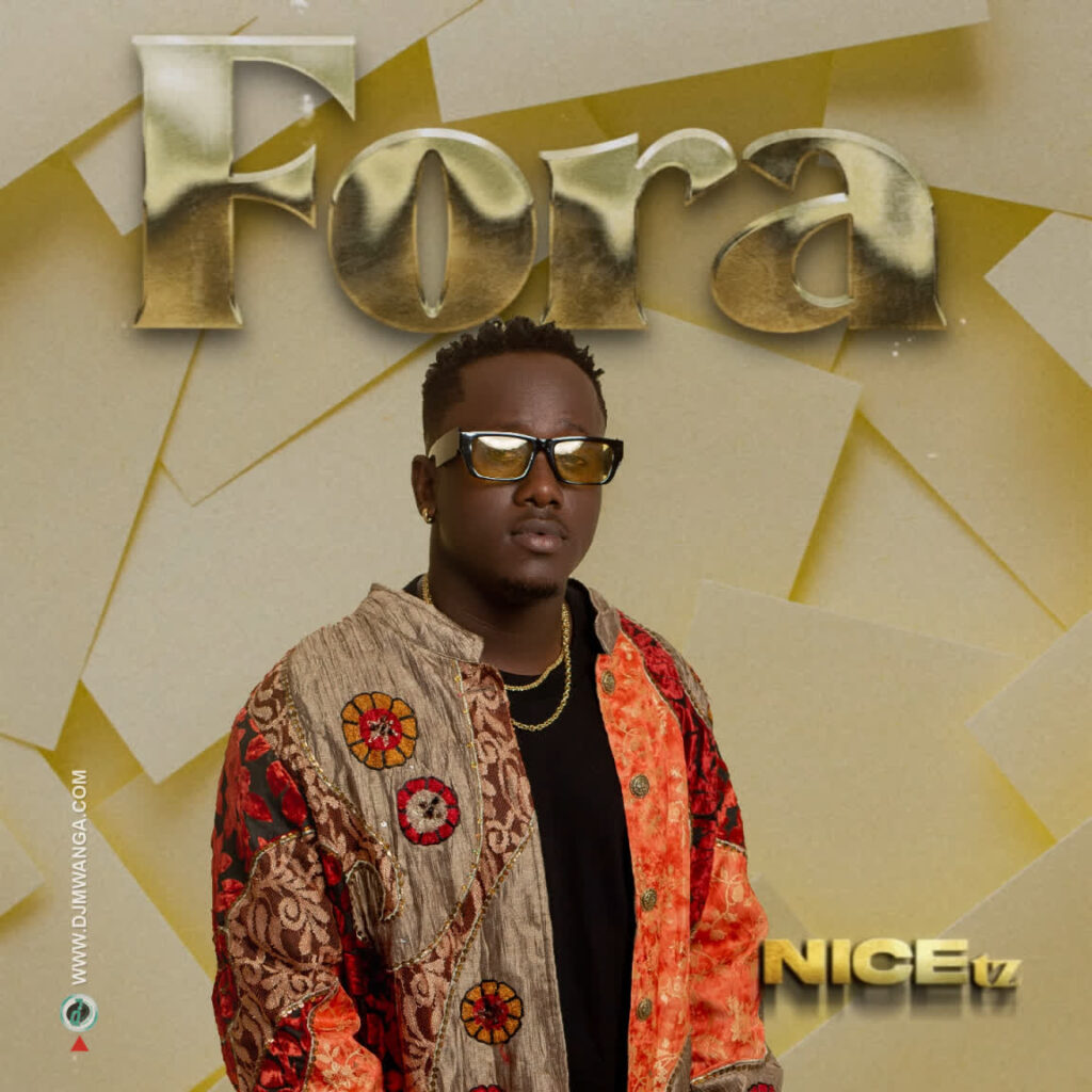 Download Audio | Nice Tz – Fora