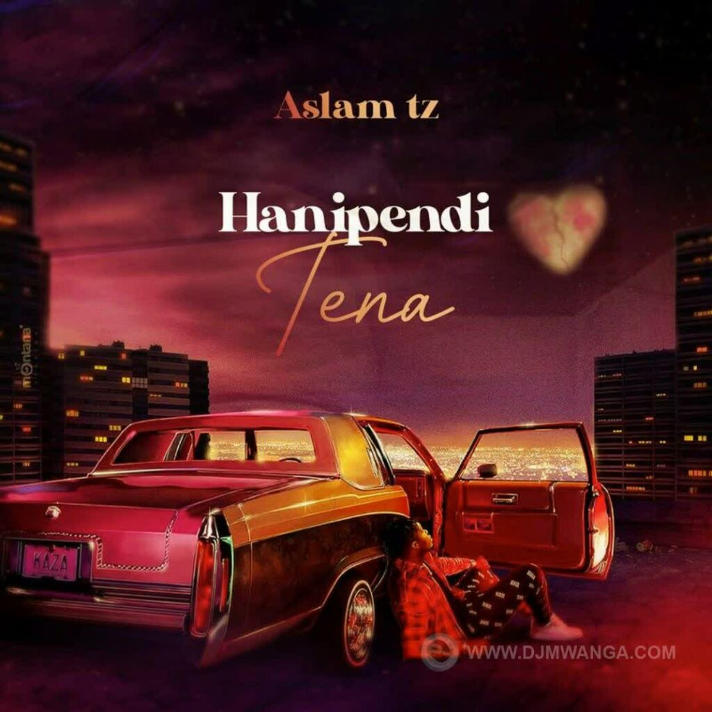 Download Audio | Aslam Tz – Hanipendi Tena
