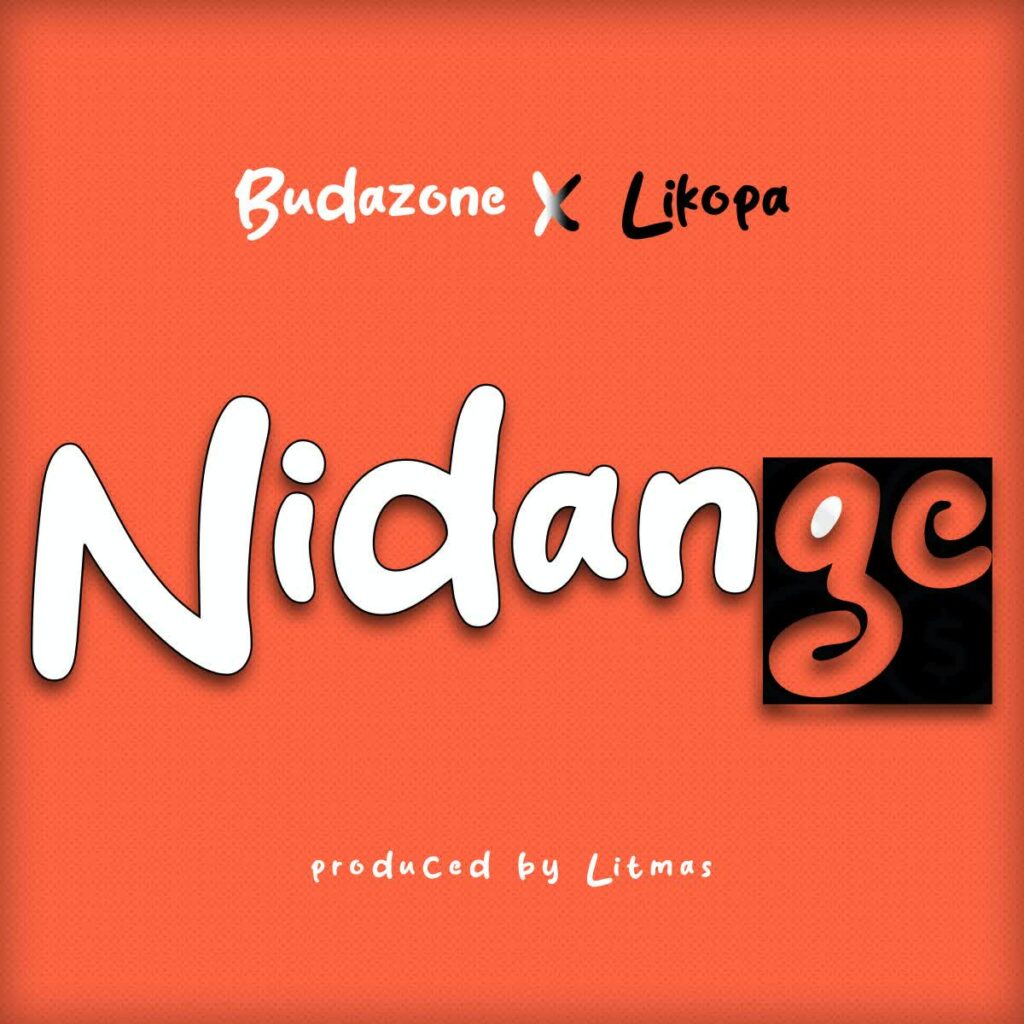 Download Audio | Budazoni X Likopa – Nidange