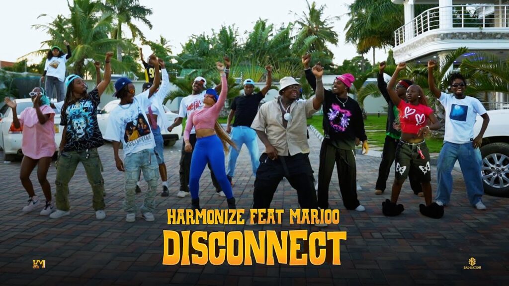 Download Video | Harmonize Ft. Marioo – Disconnect ( Dance)