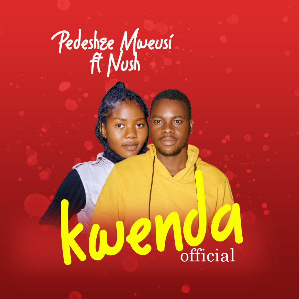 Download Audio | Pedeshee Mweusi Ft. Nush – Kwenda