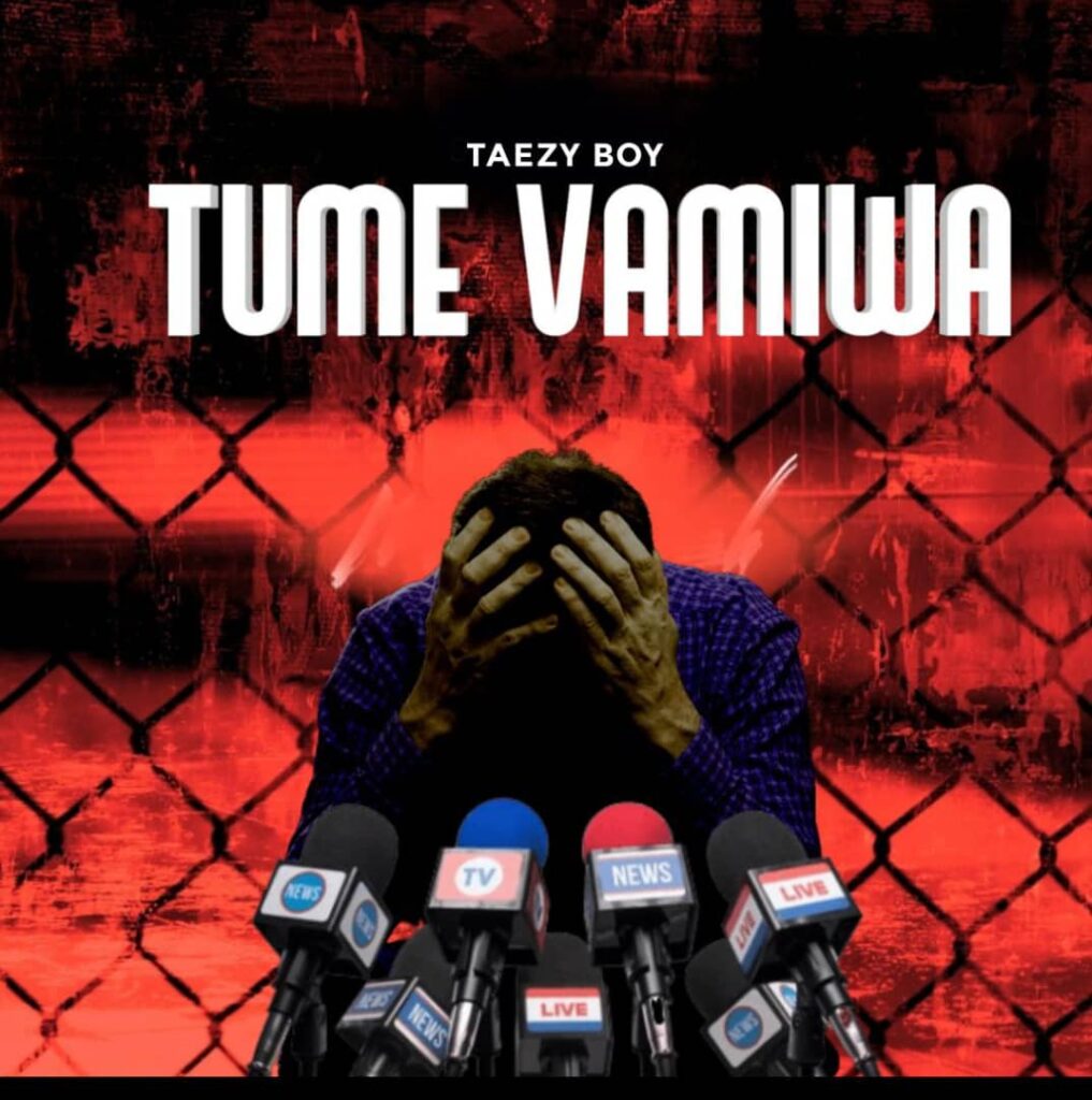 Download Audio | Taezy Boy – Tumevamiwa