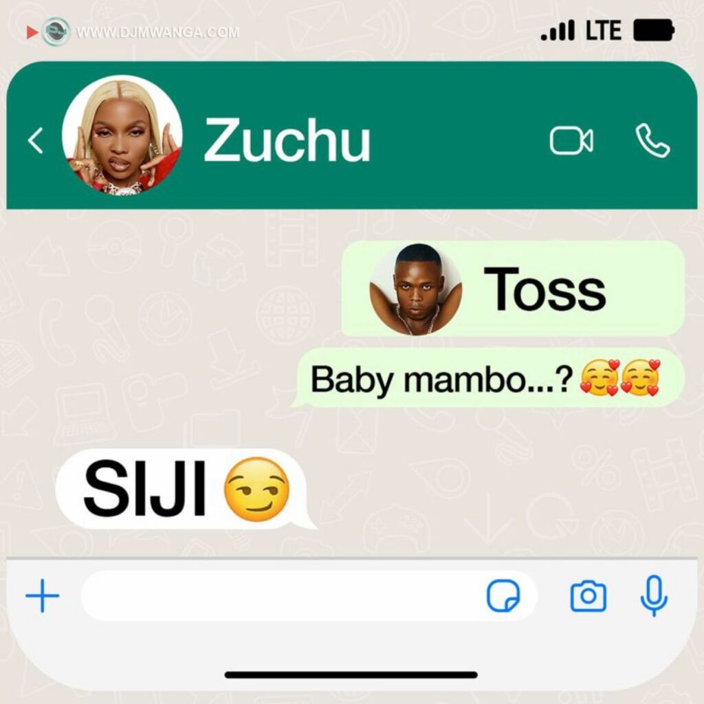 Download Audio | Zuchu Ft. Toss – Siji