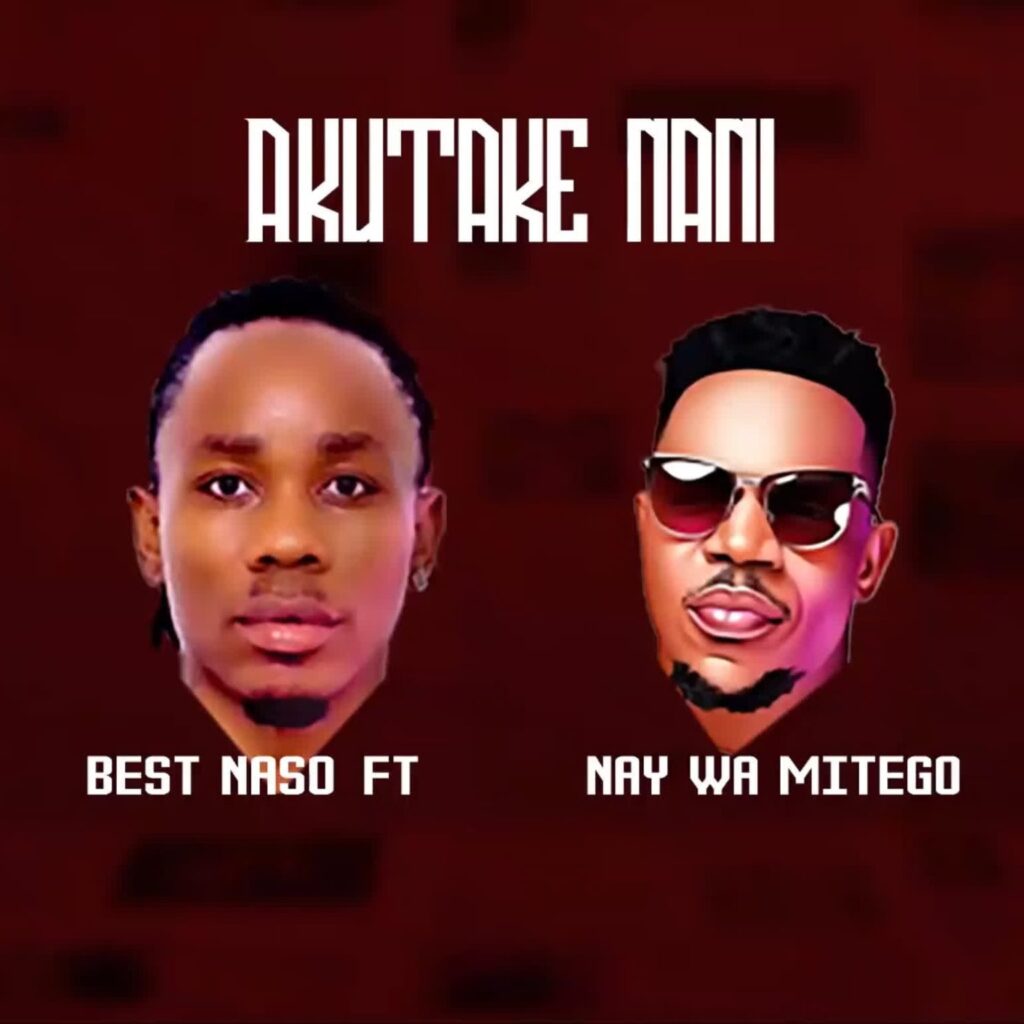 Download Audio | Best Naso Ft Nay wa Mitego – Akutake Nani