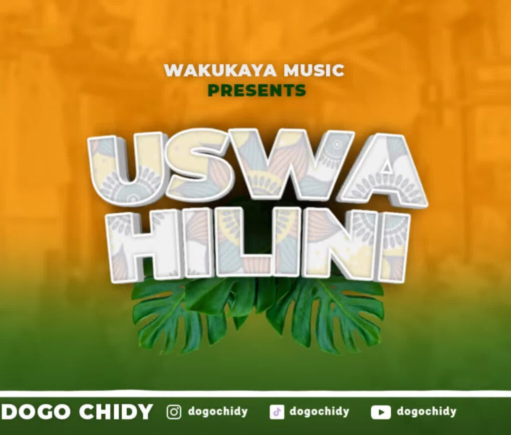 Download Audio | Dogo Chidy – Uswahilini