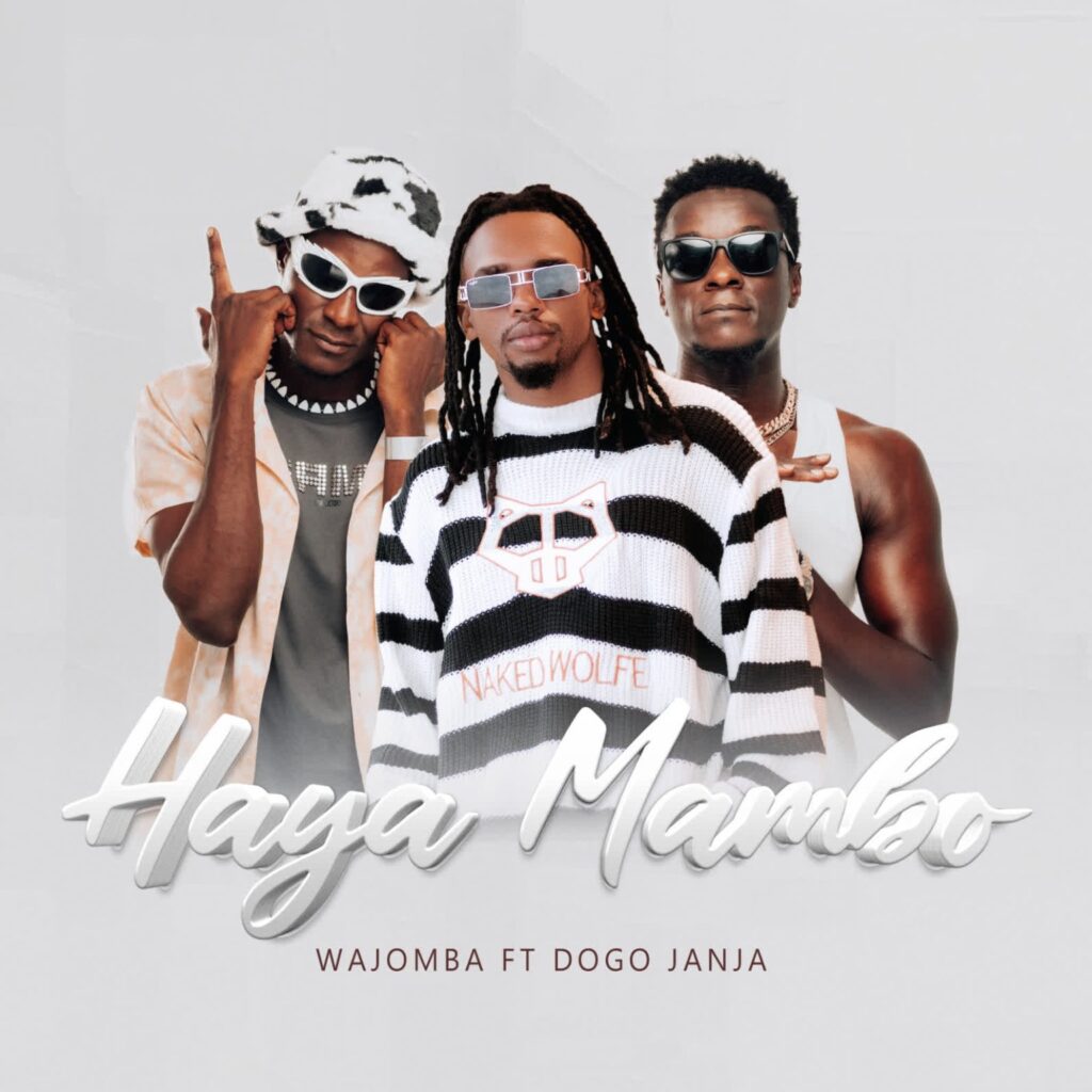 Download Audio | Wajomba Ft. Dogo Janja – Haya Mambo