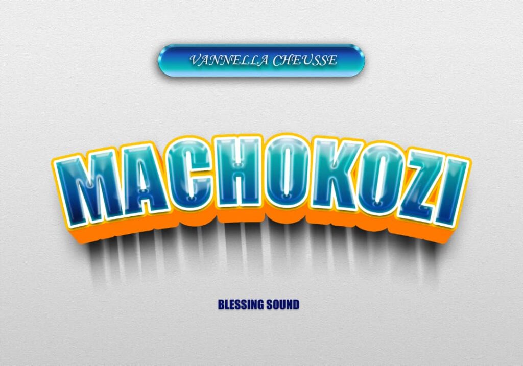 Download Audio | Vanella Cheusse – Machokozi