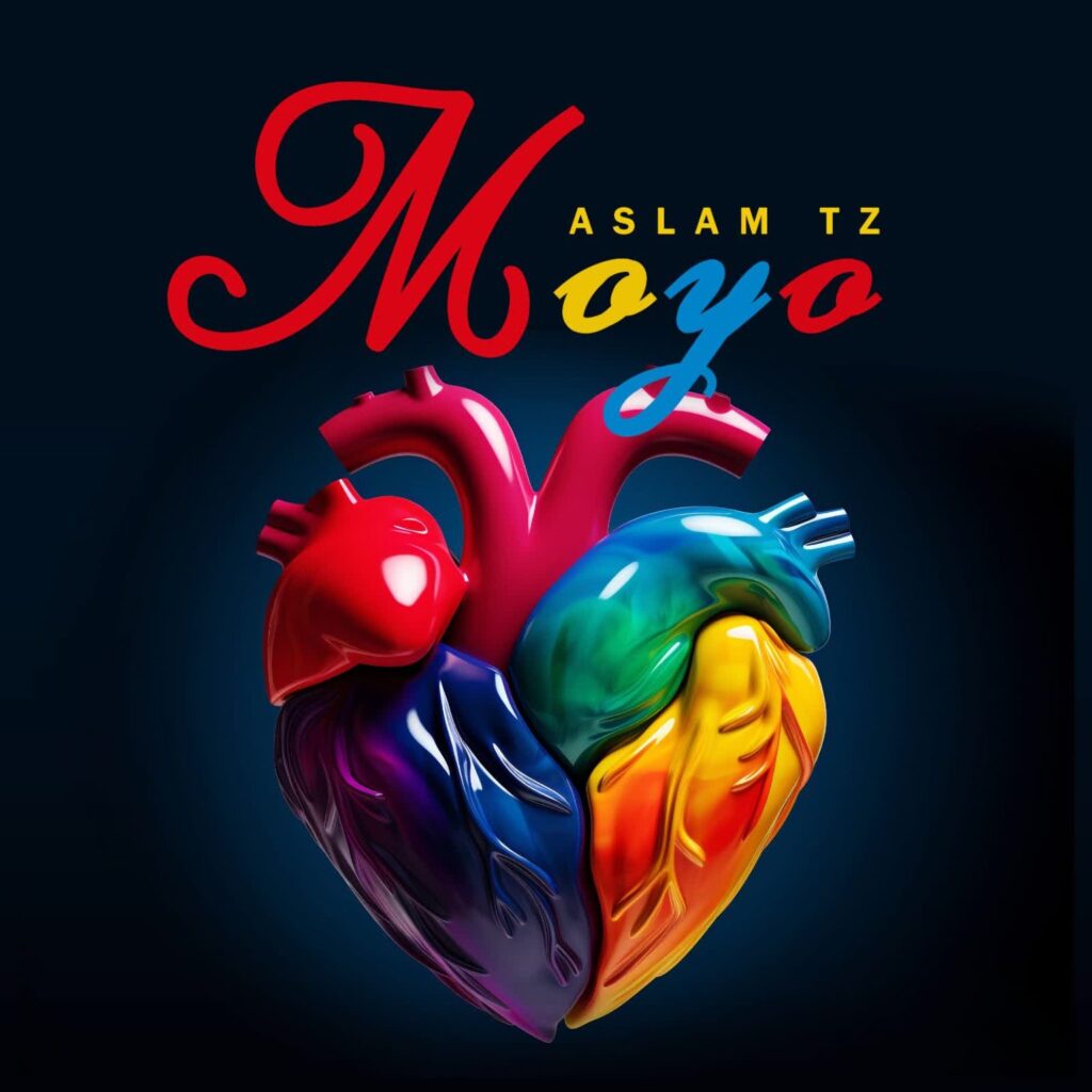 Download Audio | Aslam Tz – Moyo