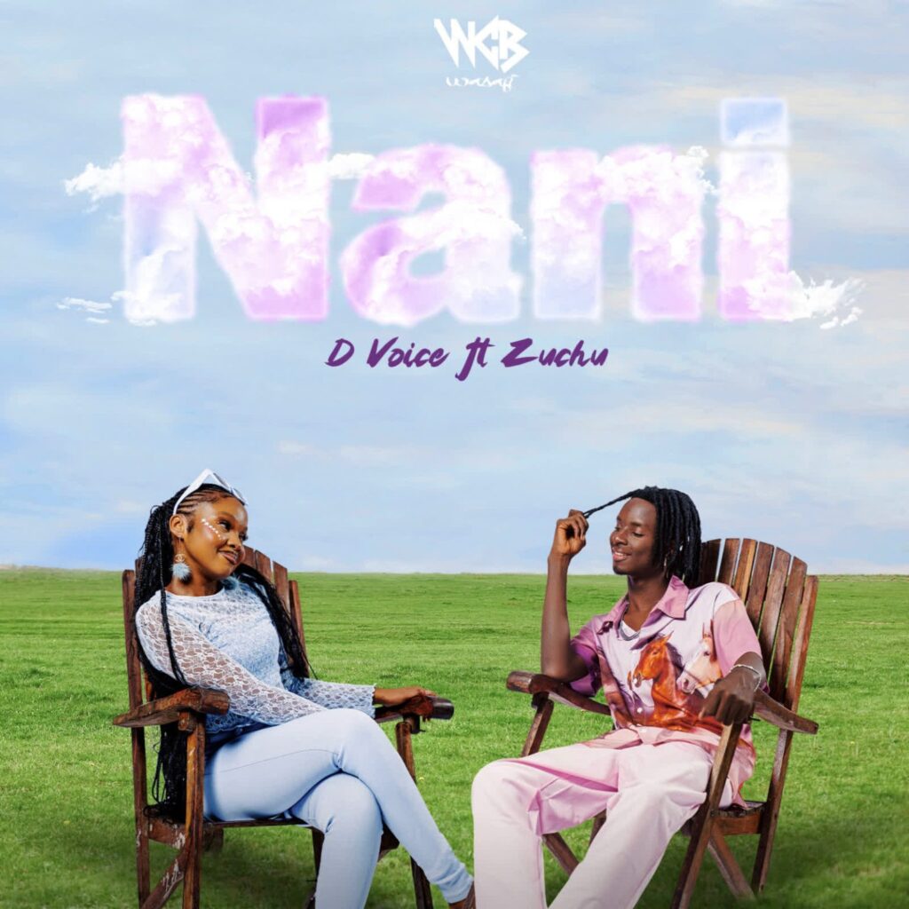 Download Audio | D voice Ft. Zuchu – Nani