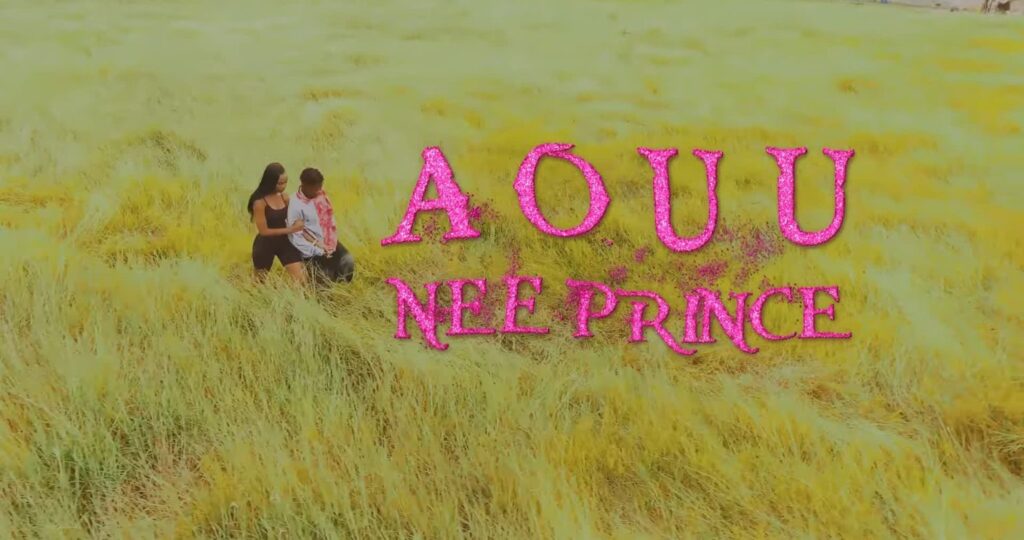 Download Video | Nee Prince – Ao uu