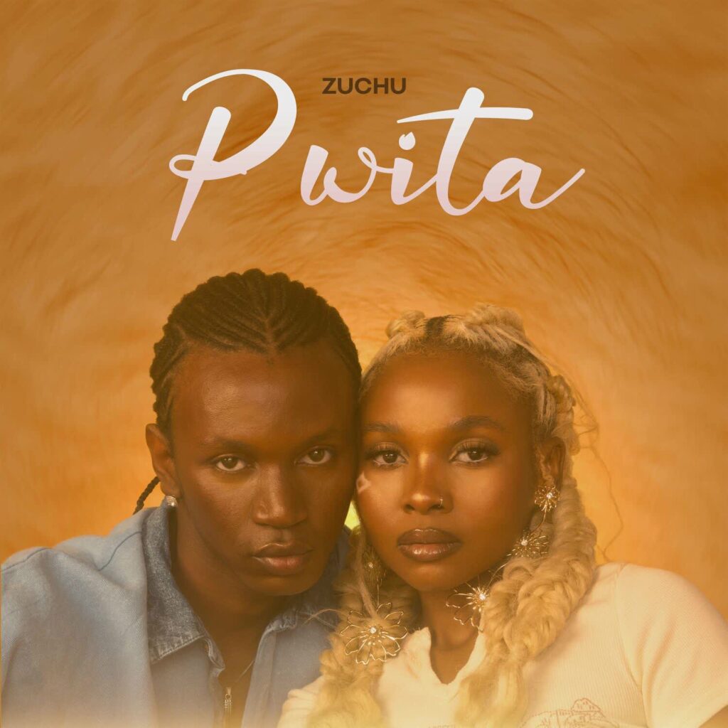 Download Audio | Zuchu – Pwita