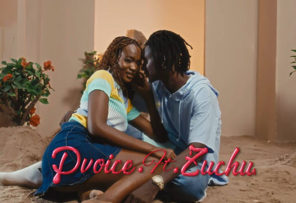 Download Video | D Voice Ft. Zuchu – Nani