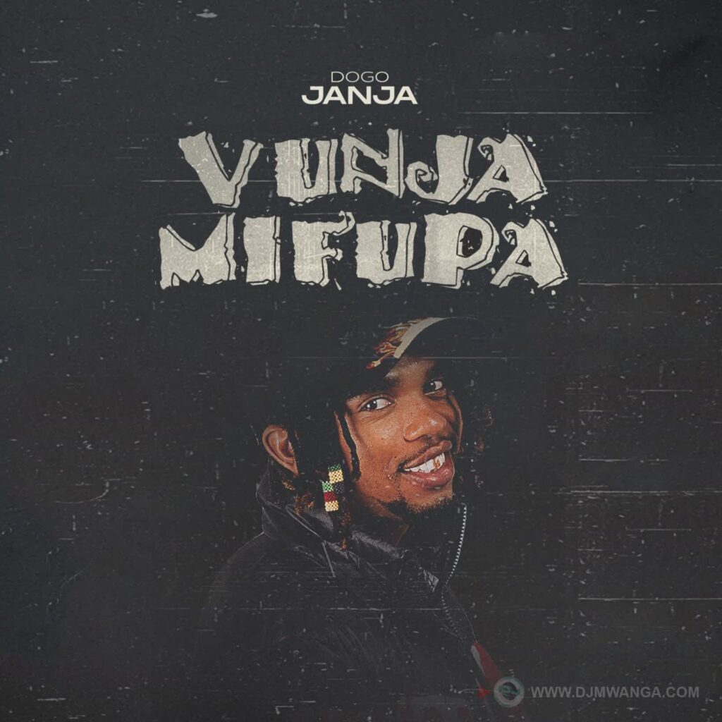 Download Audio | Dogo Janja – Vunja Mifupa