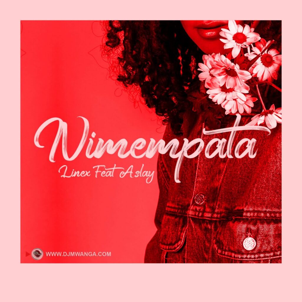 Download Audio | Linex Ft. Aslay – Nimempata