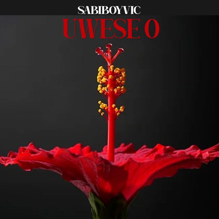 Download Audio | Sabiboyvic – Uwese O