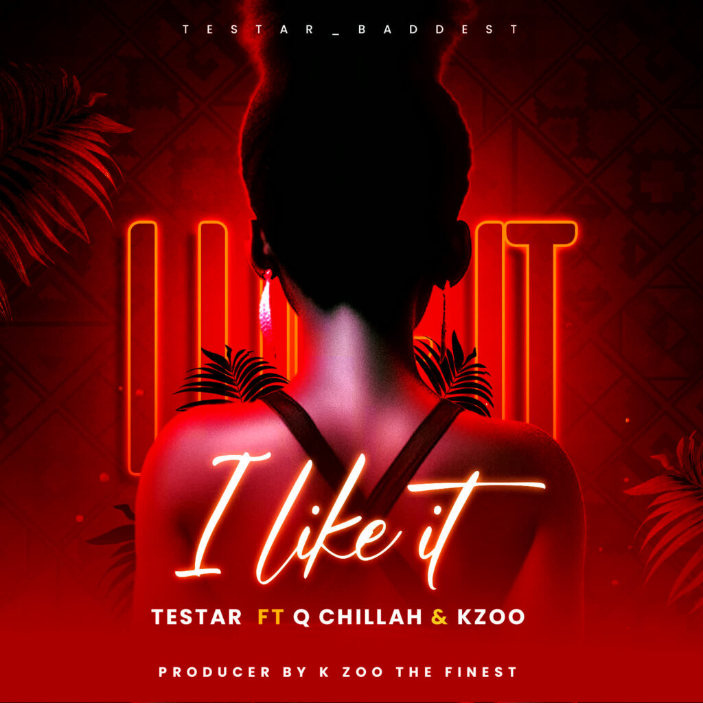 Download Audio | Testa Ft. Qchilla x Kzoo the finest – I like it