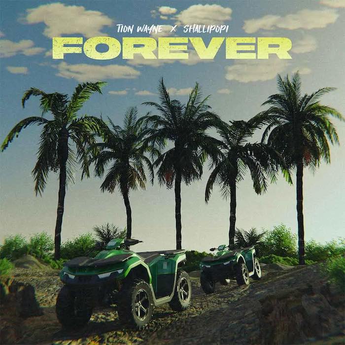 Download Audio | Tion Wayne Ft. Shallipopi – Forever