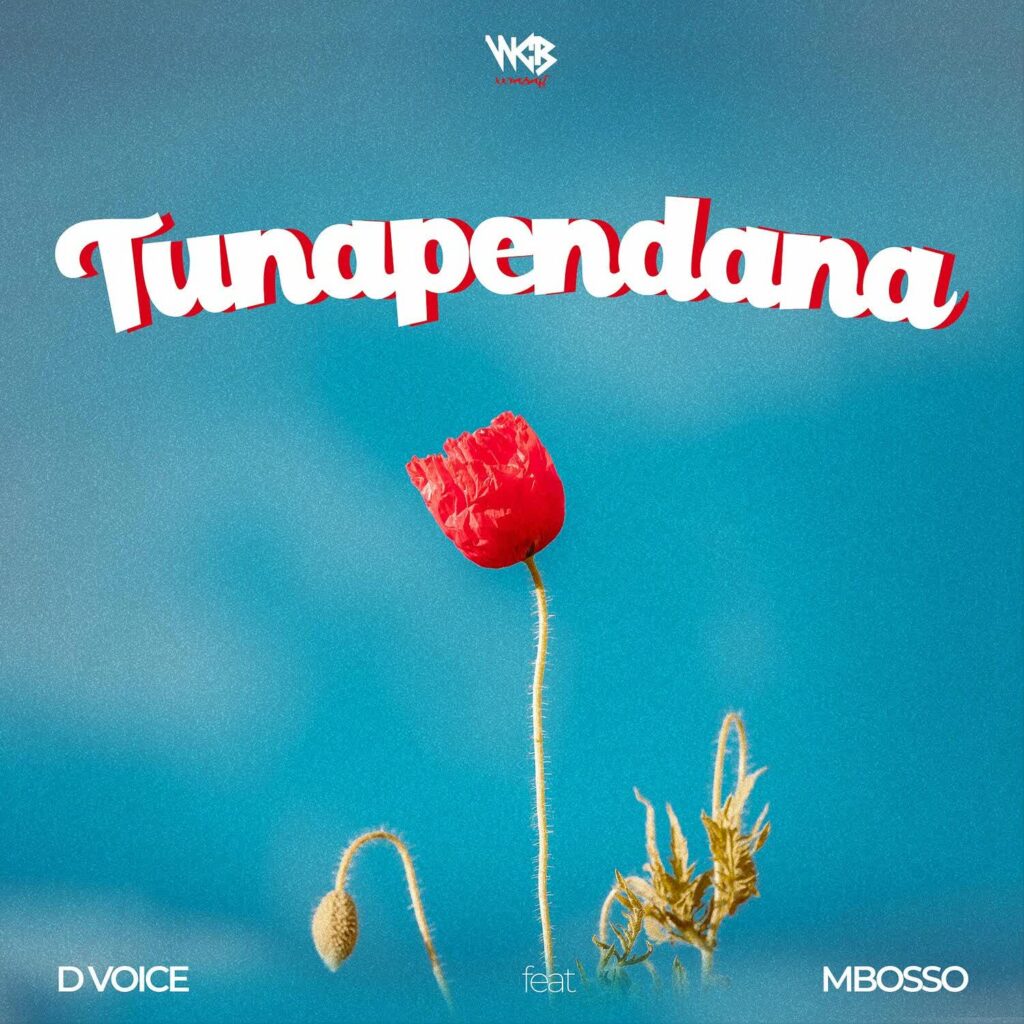 Download Audio | D Voice X Mbosso – Tunapendana