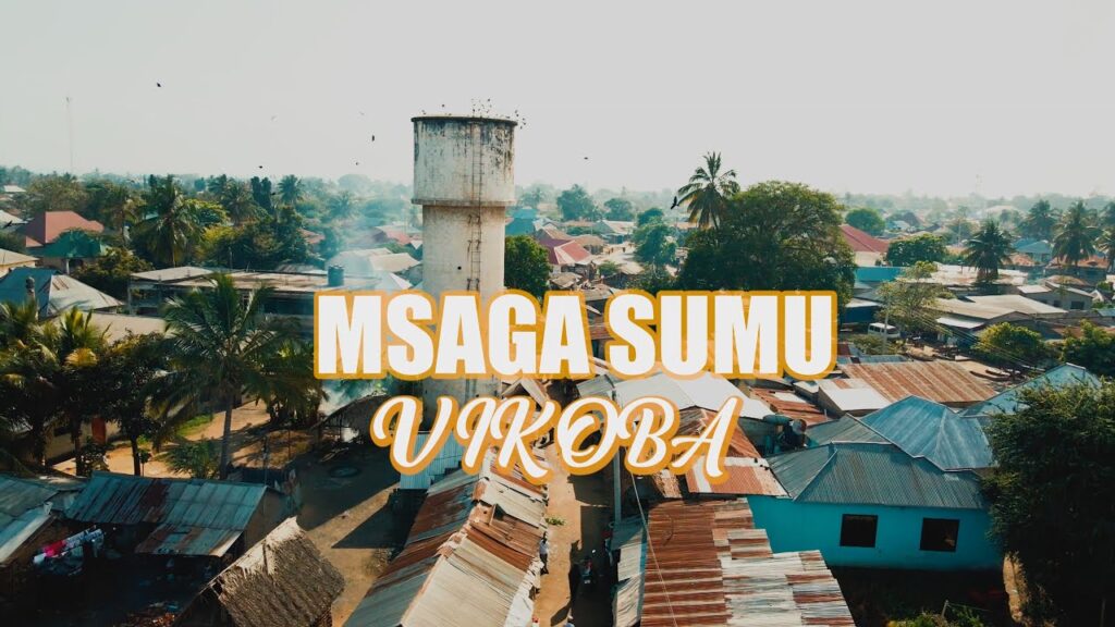 Download Video | Msaga Sumu – Vikoba