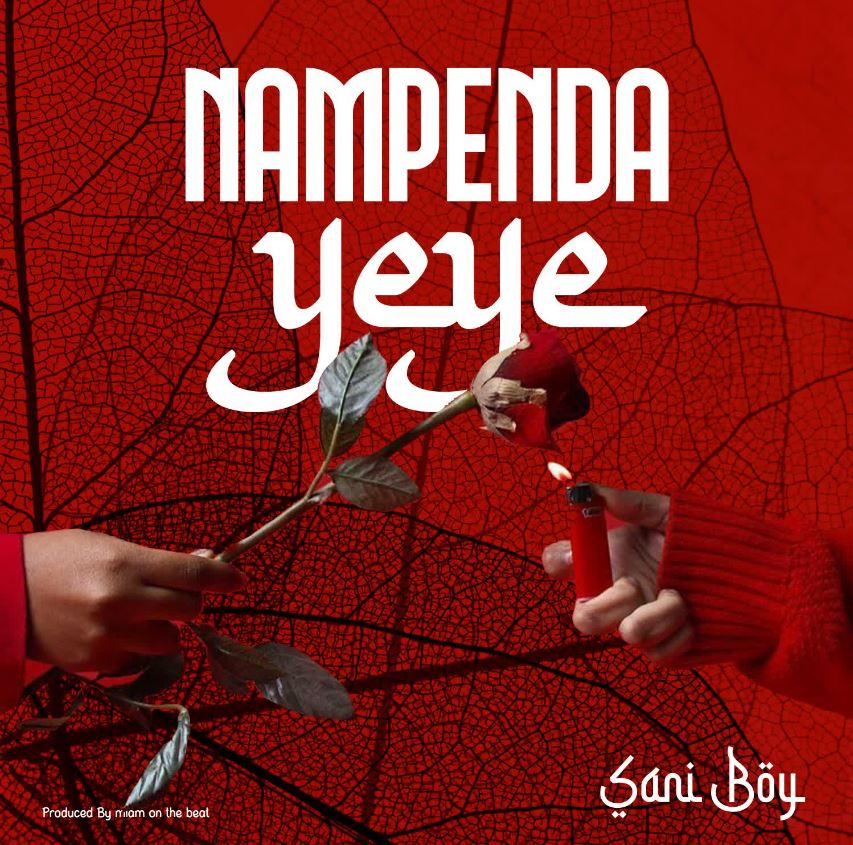 Download Audio | Sani Boy – Nampenda Yeye