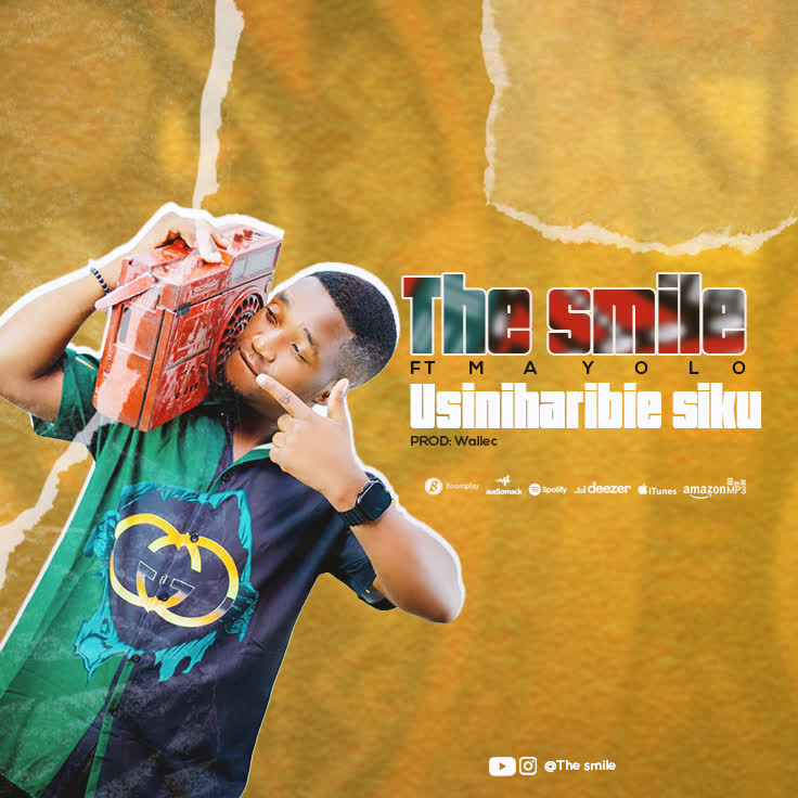 Download Audio | The Smile ft Mayolo – Usiniharibie