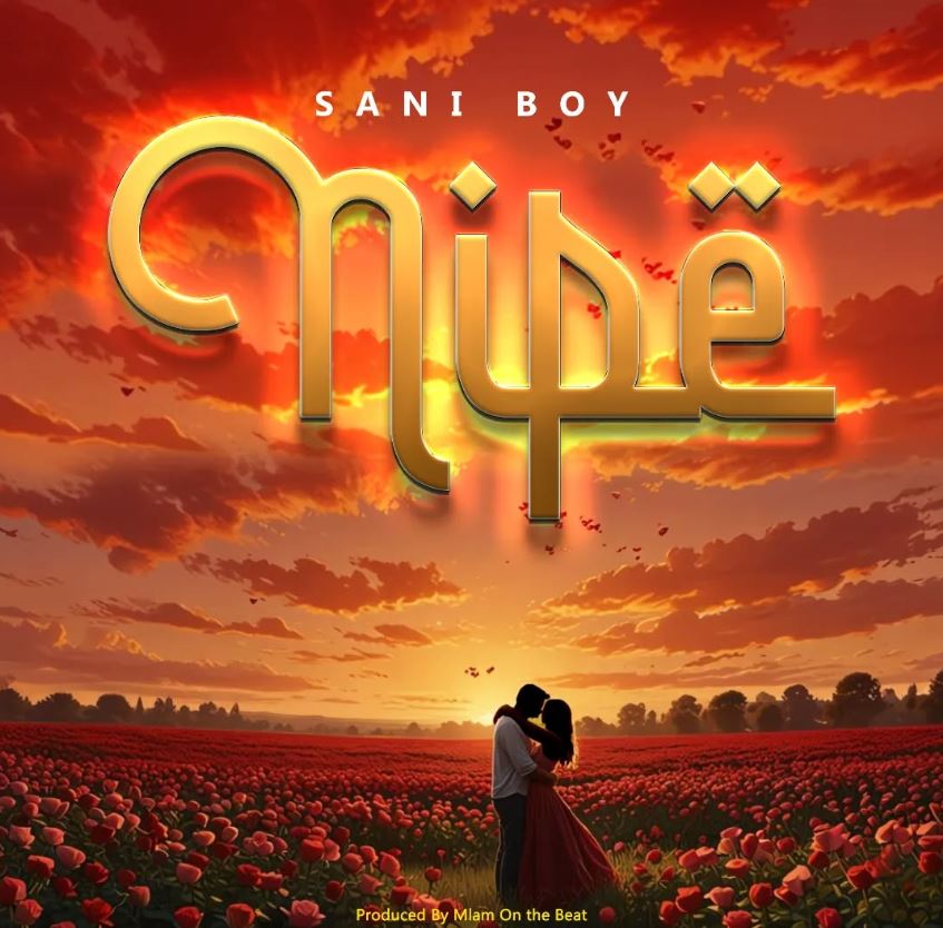 Download Audio | Sani Boy – Nipe