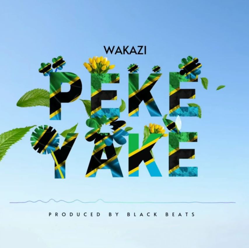 Download Audio | Wakazi – Peke Yake