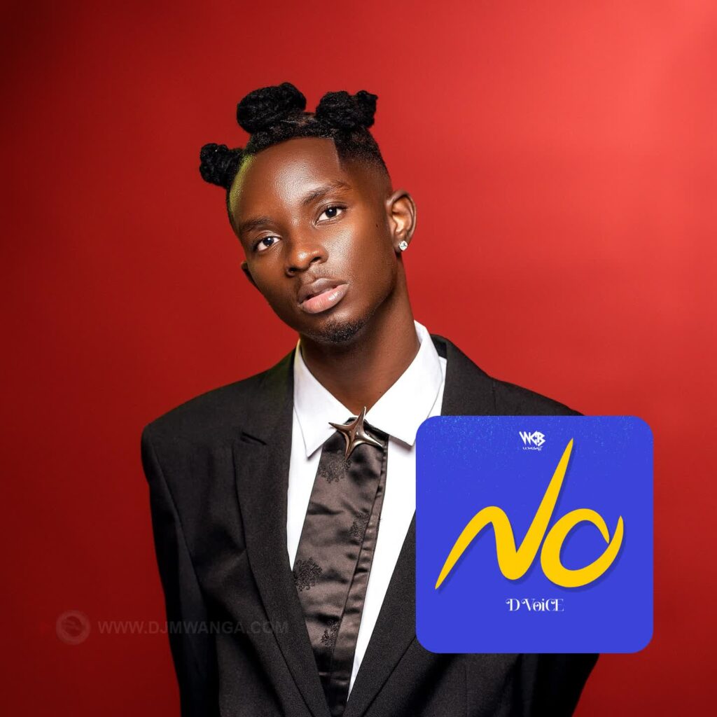 Download Audio | D Voice – No