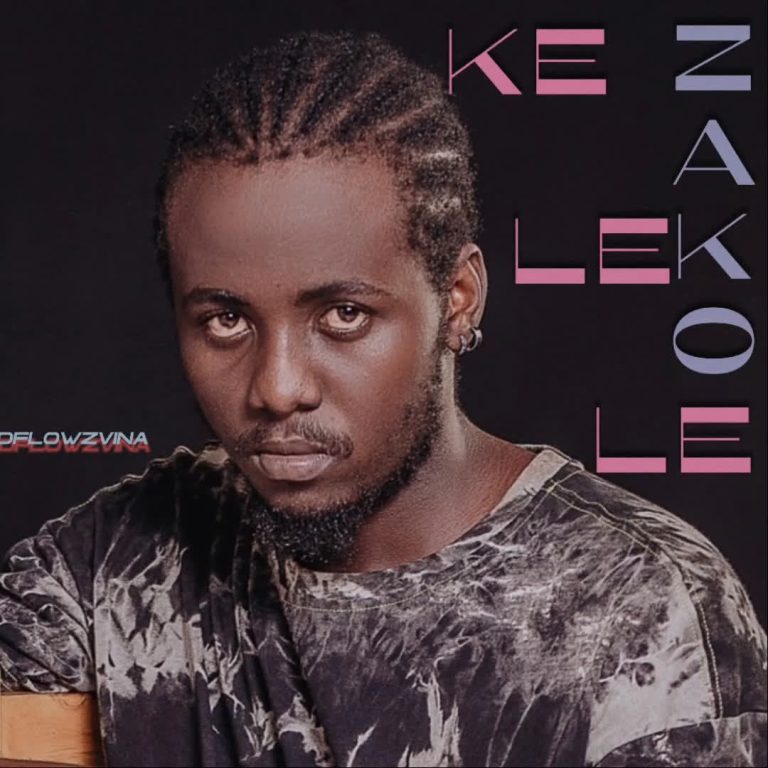 Download Audio | Dflowz Vina – Kelele Zako