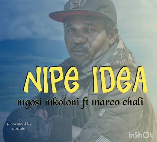 Download Audio | Mgosi Mkoloni (Wagosi Wakaya) Ft Marco Chali – Nipe Idea