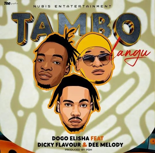 Download Audio | Dogo Elisha – Tambo
