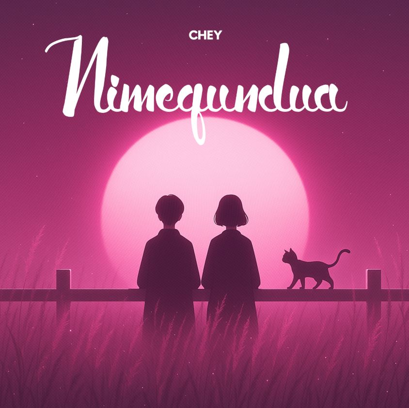 Download Audio | Chey TZ – Nimegundua