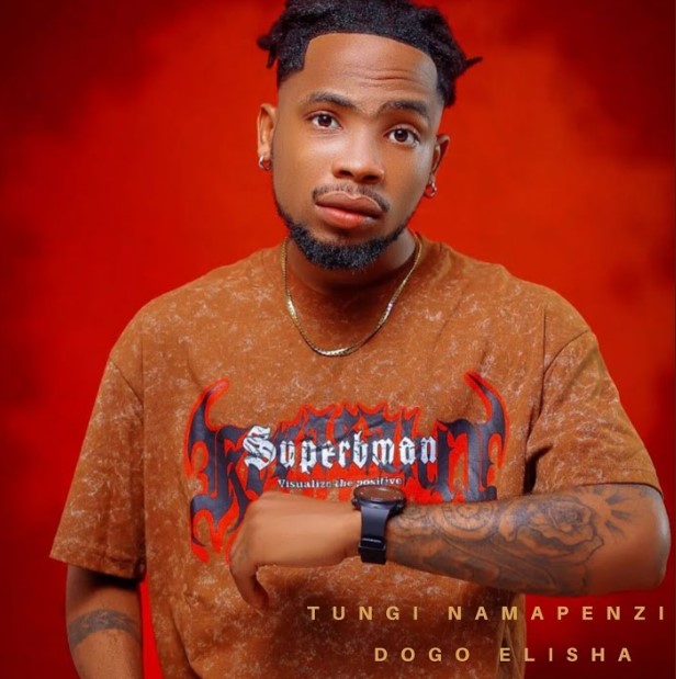 Download Audio | Dogo Elisha – Visa Vya Nini
