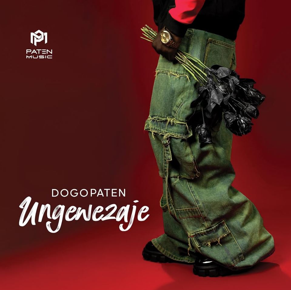 Download Audio | Dogo Paten – Ungewezaje