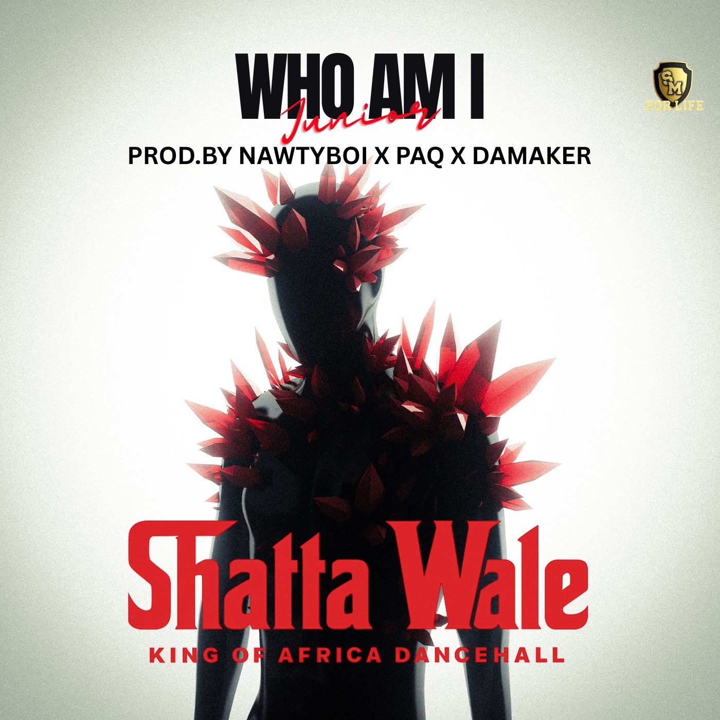 Download Audio | Shatta Wale – Who Am I
