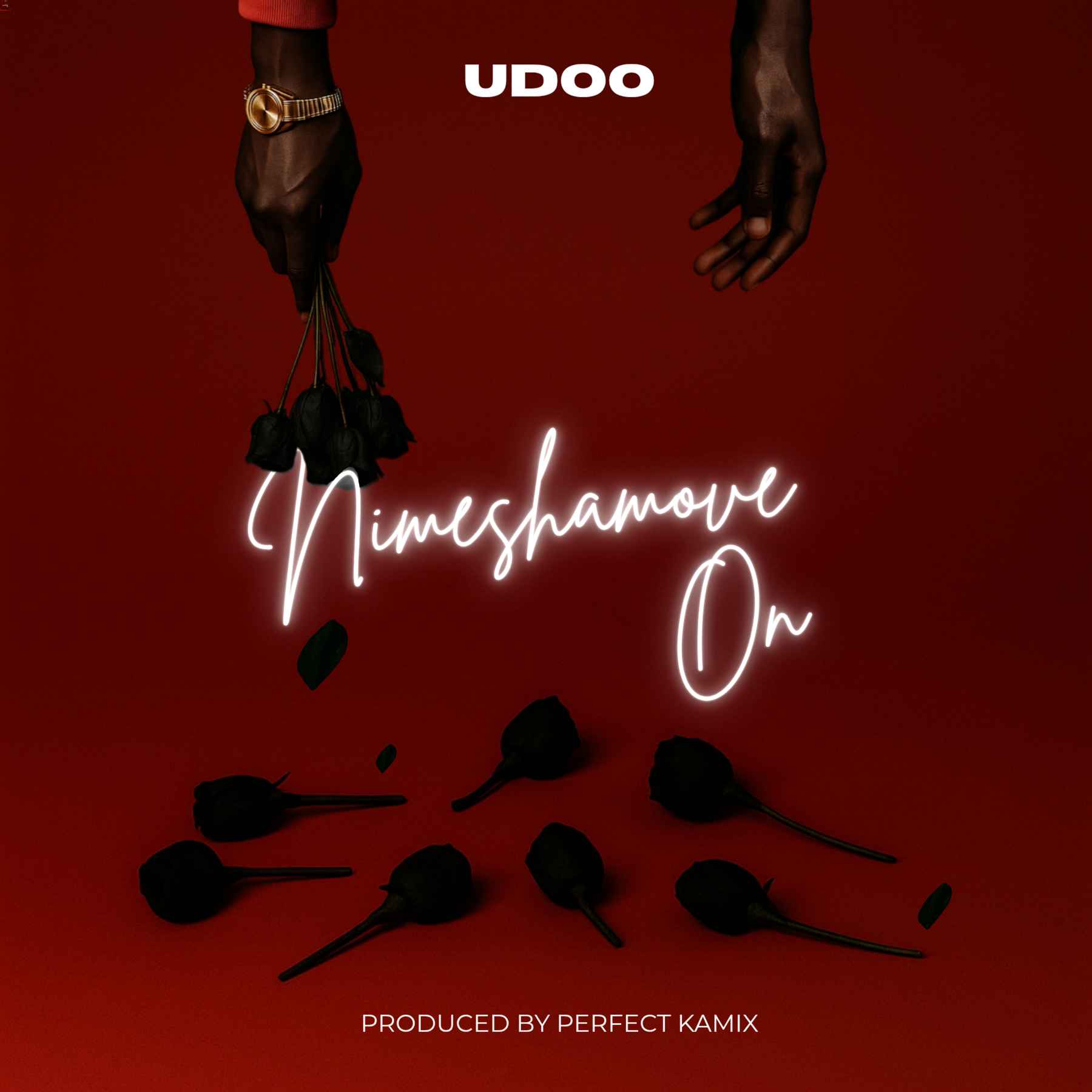 Download Audio | Udoo – Nimeshamove On