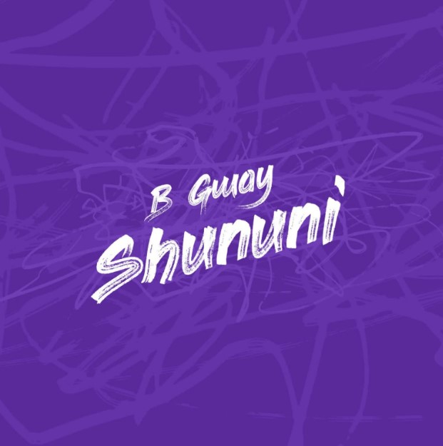 Download Audio | B Gway – Shununi