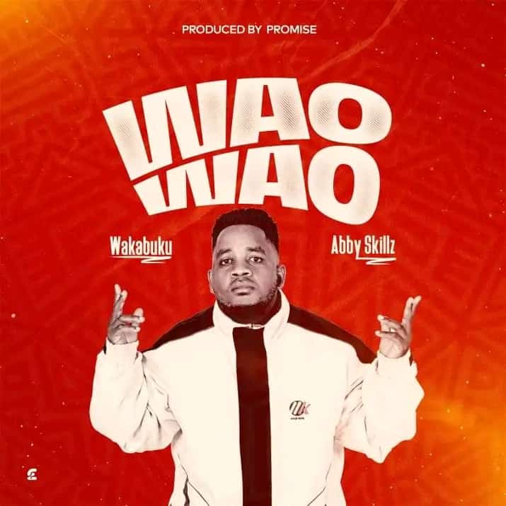 Download Audio | Kabuku X Abby Skillz – Wao Wao