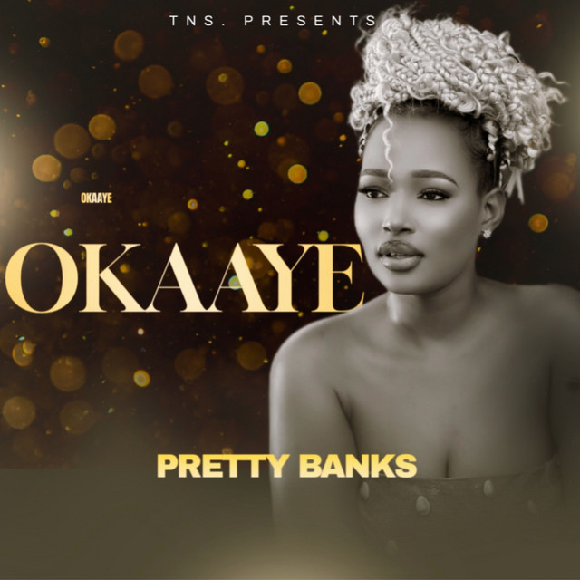 Download Audio | Pretty Banks – Okaaye