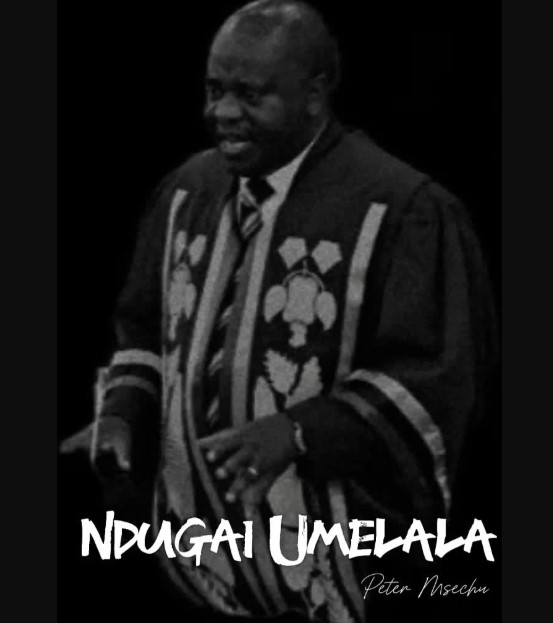 Download Audio | Peter Msechu – Ndugai Umelala | Download