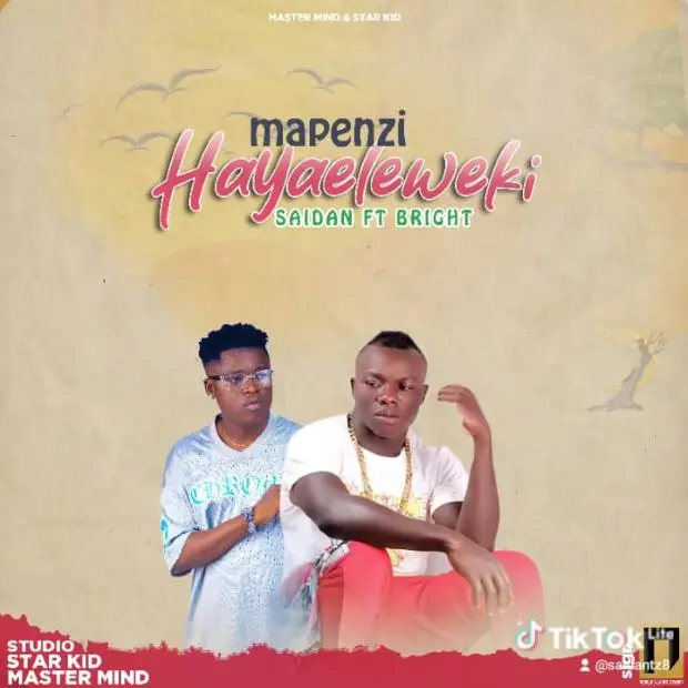 Download Audio | Saidan Ft Bright – Mapenzi Hayaeleweki