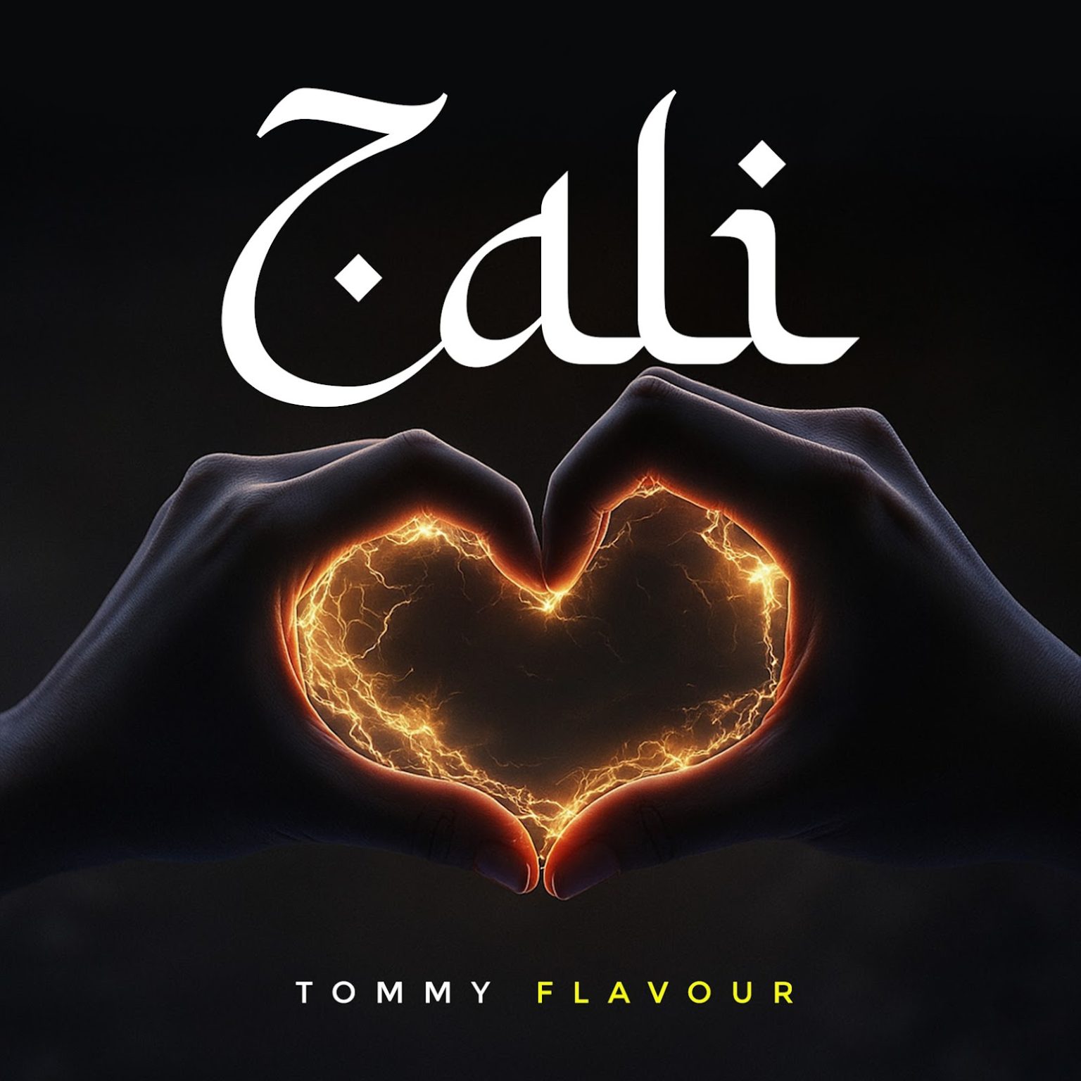 Download Audio | Tommy Flavour – Zali