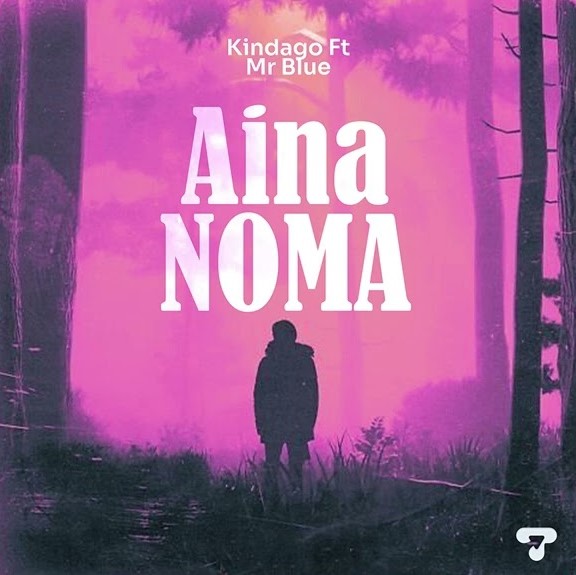 Kindago Ft Mr Blue – Aina Noma