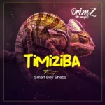 Stream & Download Drimz Ft Smart Boy Sheba – Timiziba