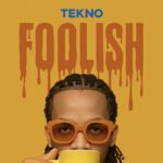Stream & Download Tekno – Foolish