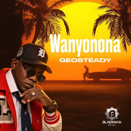 Geosteady – Wanyonona